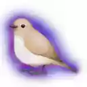 Nightingale  screen for extension Chrome web store in OffiDocs Chromium