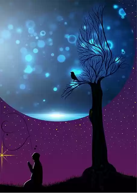 Free download Night Landscape Draw Free -  free illustration to be edited with GIMP free online image editor