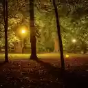 Night park  screen for extension Chrome web store in OffiDocs Chromium