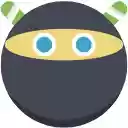 Ninja Download Manager  screen for extension Chrome web store in OffiDocs Chromium