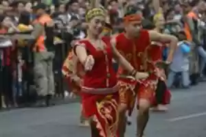 Free download NKN 9547 free photo or picture to be edited with GIMP online image editor