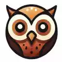 No Hooting Around  screen for extension Chrome web store in OffiDocs Chromium