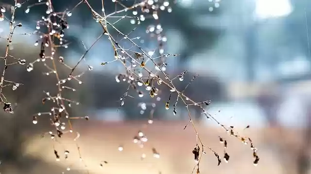Free download Non Rain Trickle -  free photo or picture to be edited with GIMP online image editor