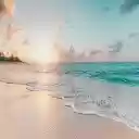 North Shore HD Wallpapers Theme  screen for extension Chrome web store in OffiDocs Chromium