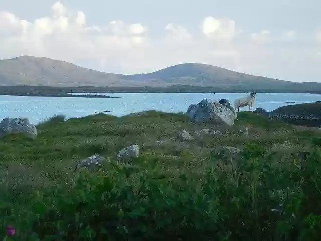 Free download North Uist Sheep Loch -  free photo or picture to be edited with GIMP online image editor