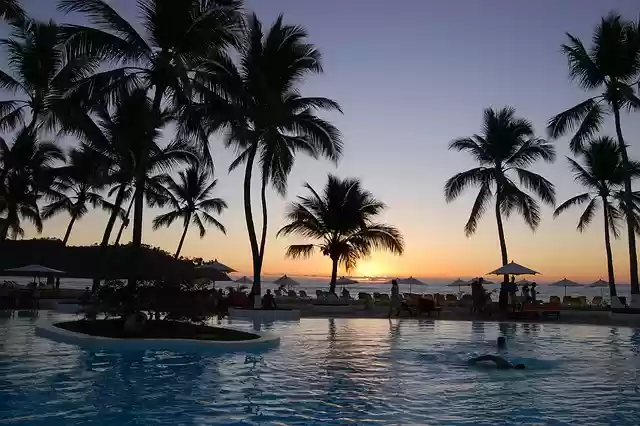 Free download nosy bee madagascar palms sunset free picture to be edited with GIMP free online image editor