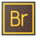 Notebook LM Source Getter  screen for extension Chrome web store in OffiDocs Chromium