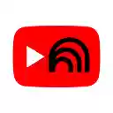NotebookLM Youtube Link (Source) Automator  screen for extension Chrome web store in OffiDocs Chromium