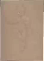 Free download Nude Boy, Walking to the Left free photo or picture to be edited with GIMP online image editor