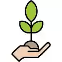 Nurturing New Life  screen for extension Chrome web store in OffiDocs Chromium