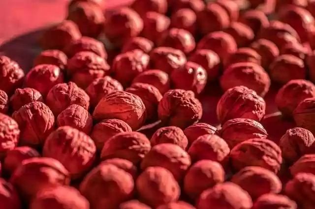 Free download nuts advent nutshell vegan free picture to be edited with GIMP free online image editor