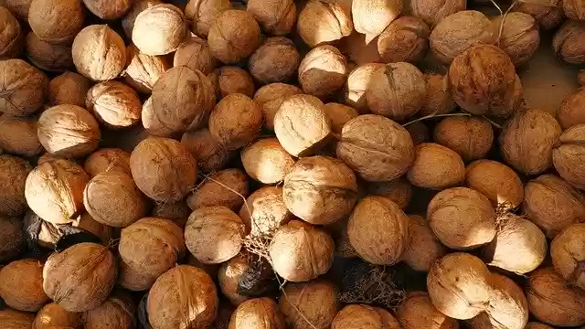 Free download Nuts Walnuts Food -  free photo or picture to be edited with GIMP online image editor