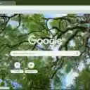 Oak  screen for extension Chrome web store in OffiDocs Chromium