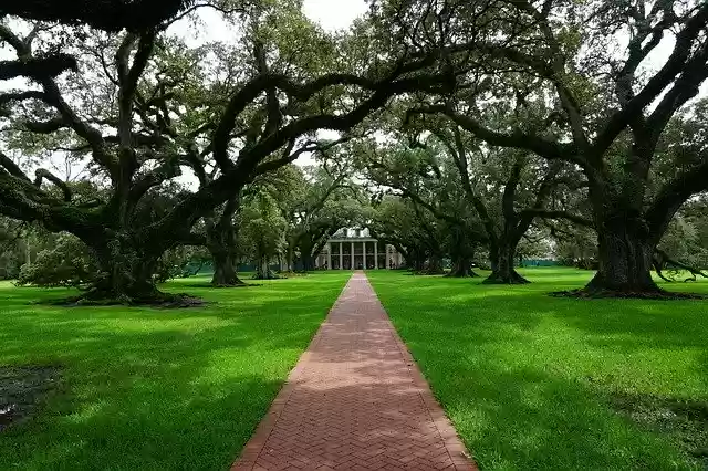 Free download Oak Alley Plantation New Orleans -  free free photo or picture to be edited with GIMP online image editor