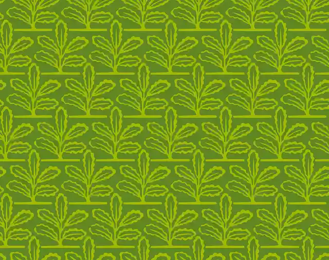 Free download Oak Tree Nature Ongoing -  free illustration to be edited with GIMP free online image editor