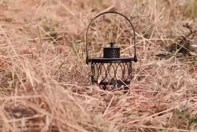 Free download oat field lamp lantern field free picture to be edited with GIMP free online image editor