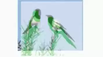 Free download Observers Notes 1-14 free photo or picture to be edited with GIMP online image editor