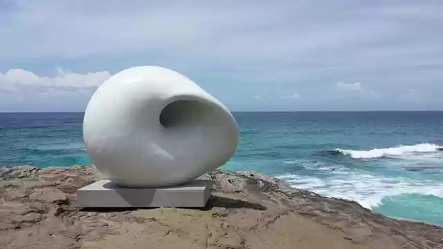 Free download Ocean Cliff Shell -  free photo or picture to be edited with GIMP online image editor