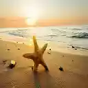 OffiDocs Chromium 中 Chrome 网上商店扩展程序的 Ocean Star 屏幕