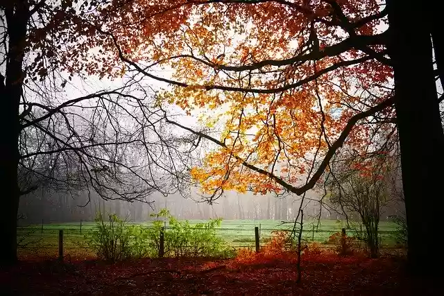 Free download October November September -  free free photo or picture to be edited with GIMP online image editor