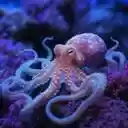 octopus wallpaper  screen for extension Chrome web store in OffiDocs Chromium