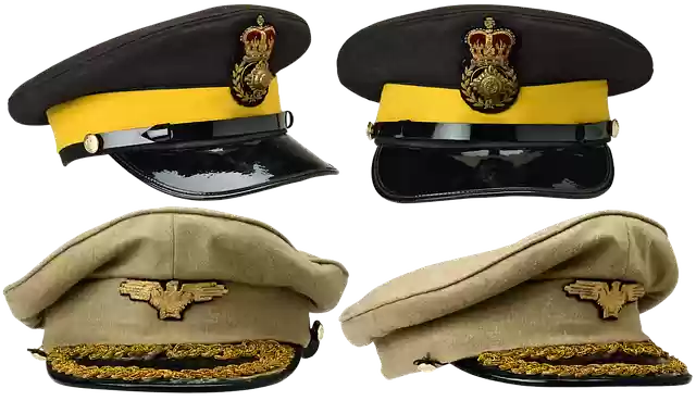 Free download OfficerS Cap Visor Cockade -  free illustration to be edited with GIMP free online image editor