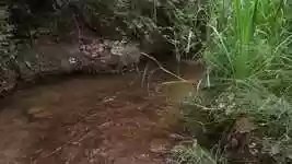 Free download Okanagan Landscape Creek -  free video to be edited with OpenShot online video editor