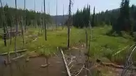 Free download Okanagan Landscape Wetlands -  free video to be edited with OpenShot online video editor