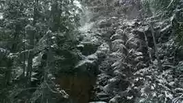 Free download Okanagan Winter Snowfall free video to be edited with OpenShot online video editor