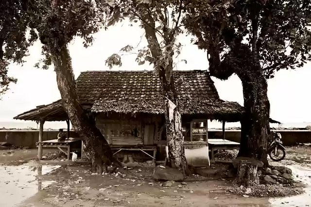 Free download old house hut small house tree free picture to be edited with GIMP free online image editor