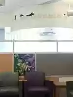 Free download Old McDonalds free photo or picture to be edited with GIMP online image editor