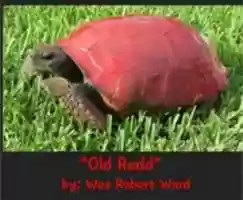 Free download Old Redd free photo or picture to be edited with GIMP online image editor