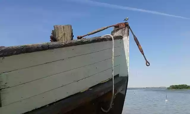 Free download Old Ship Bird -  free free photo or picture to be edited with GIMP online image editor