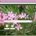 Oleander  screen for extension Chrome web store in OffiDocs Chromium
