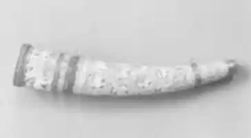 Free download Oliphant free photo or picture to be edited with GIMP online image editor