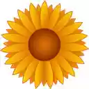 Omnivox Autologin  screen for extension Chrome web store in OffiDocs Chromium