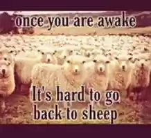 Free download onceyouareawake free photo or picture to be edited with GIMP online image editor