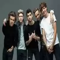Free download one-direction-press-2013-650 free photo or picture to be edited with GIMP online image editor