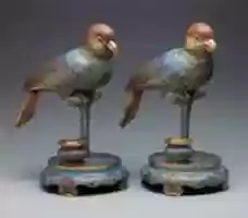 Free download One of a Pair of Parakeets free photo or picture to be edited with GIMP online image editor