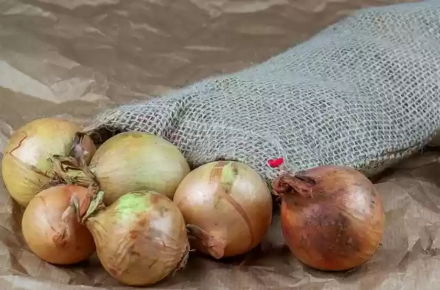 Free download Onion Bag Jute -  free photo or picture to be edited with GIMP online image editor