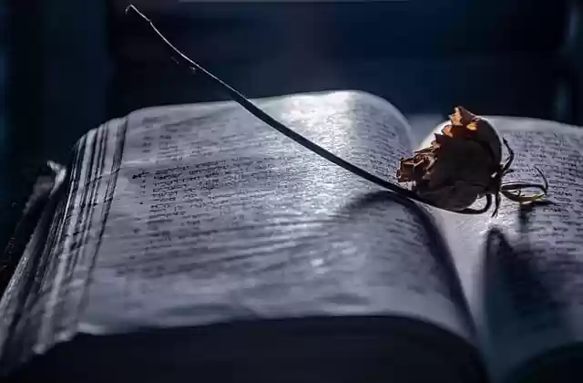 Free download open book flower nostalgia mood free picture to be edited with GIMP free online image editor