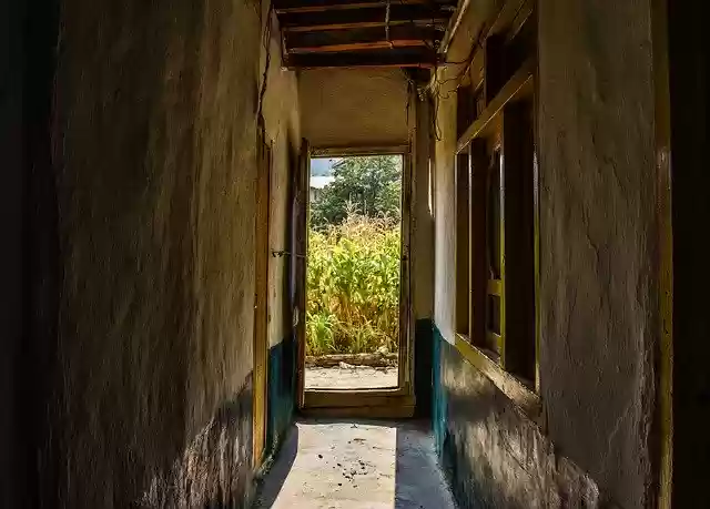 Free download Open Door Fields Sunlight -  free photo or picture to be edited with GIMP online image editor