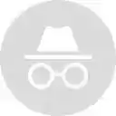 Open INcognito  screen for extension Chrome web store in OffiDocs Chromium