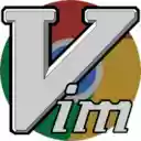 Open In Vim  screen for extension Chrome web store in OffiDocs Chromium