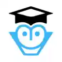 OPT Helper: For International Students  screen for extension Chrome web store in OffiDocs Chromium