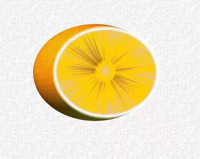 Free download Orange Citrus -  free illustration to be edited with GIMP free online image editor