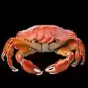 orange crab wallpaper  screen for extension Chrome web store in OffiDocs Chromium