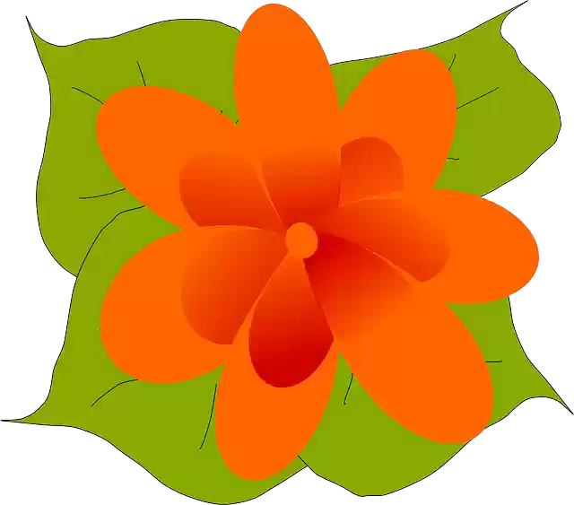 Free download Orange Flower Bloom - Free vector graphic on Pixabay free illustration to be edited with GIMP free online image editor
