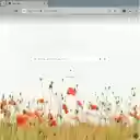 OrangeFlower Browser Theme  screen for extension Chrome web store in OffiDocs Chromium