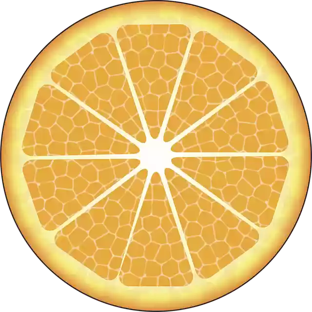 Free download Orange Food Citric -  free illustration to be edited with GIMP free online image editor